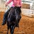 Training A Mustang: Itâ€™s A Cinch
